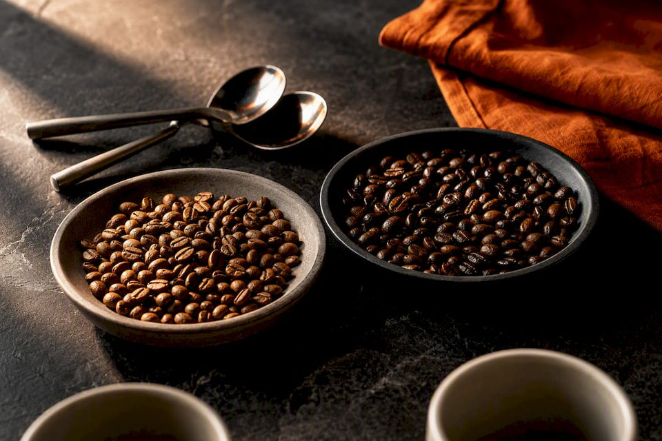 Arabica and Robusta beans prepared for tasting