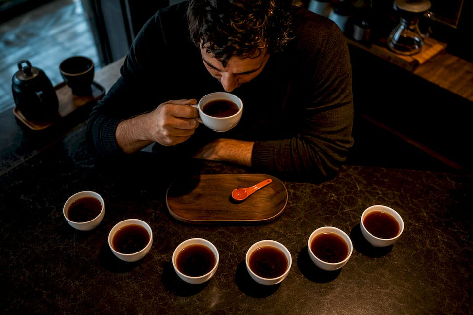 Home taster comparing six Ethiopian coffees