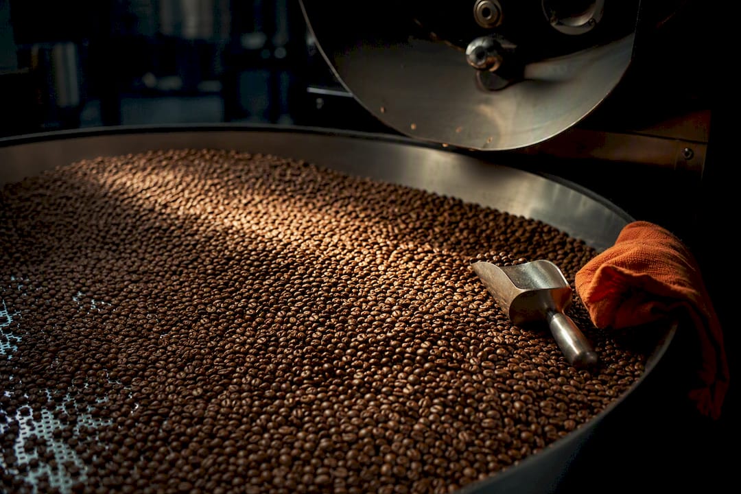 Freshly roasted beans cooling in roastery